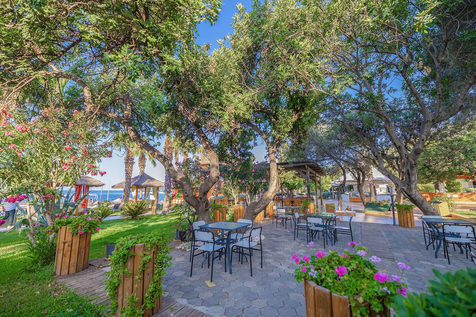 Latanya Park Hotel Galeri 5