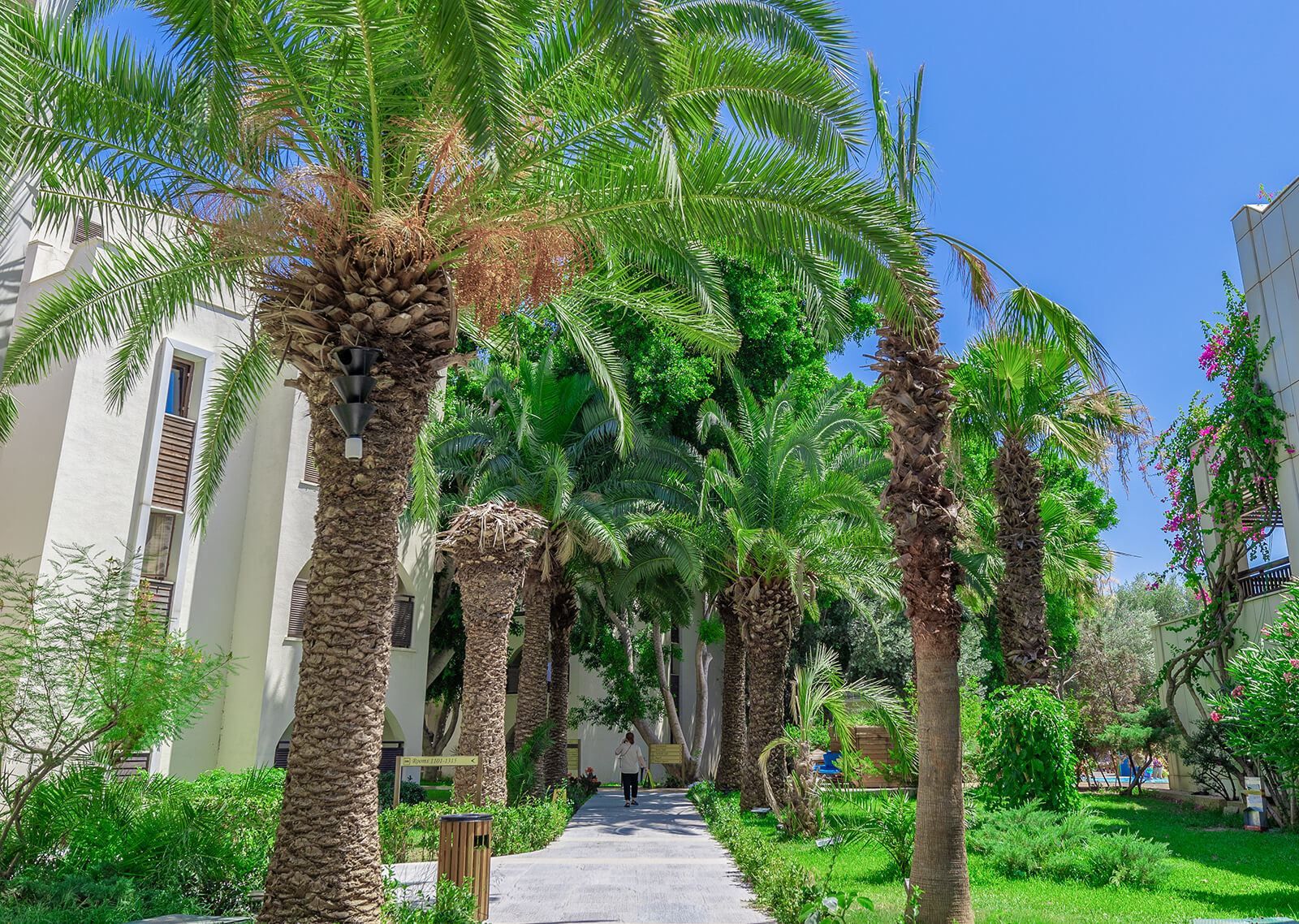 Latanya Park Hotel Hakkında